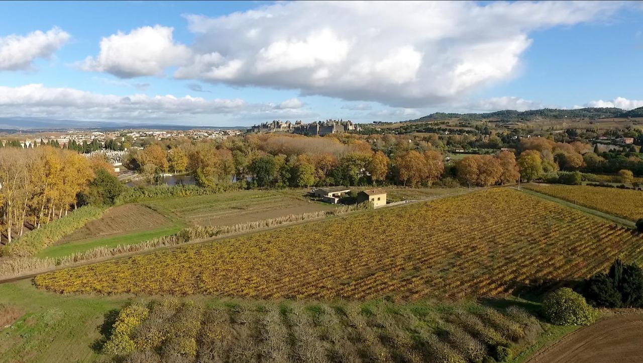 Villa Virevent Carcassonne Esterno foto