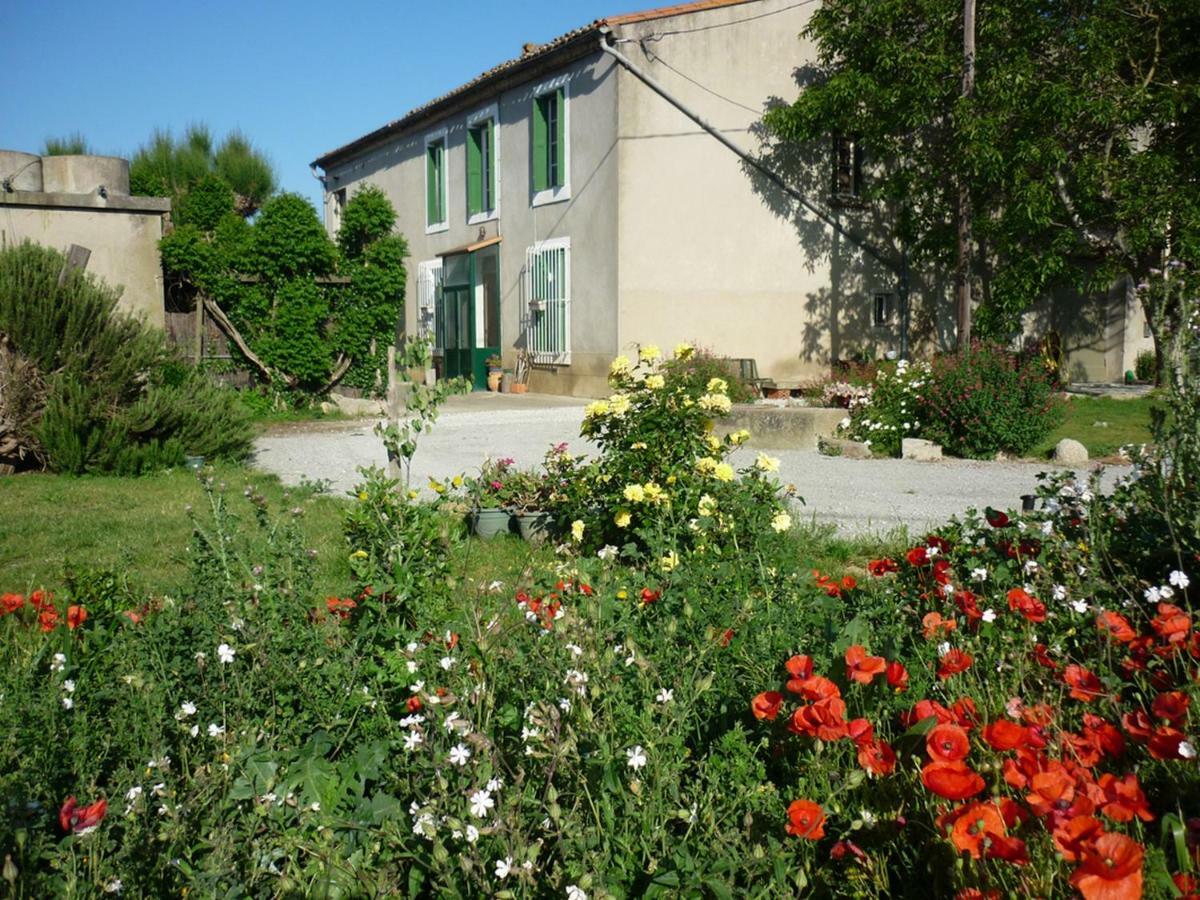 Villa Virevent Carcassonne Esterno foto